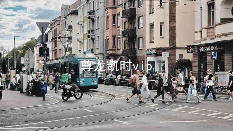 尊龙凯时vip