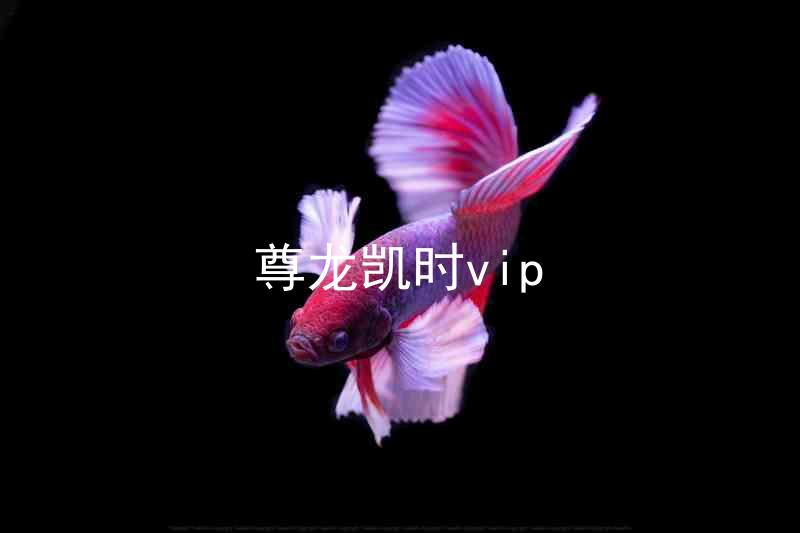 尊龙凯时vip